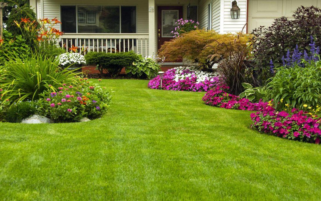 Top 5 Misconceptions about Landscaping in Virginia