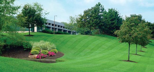 The Best Practices For Planning Your Virginia Commercial Landscape