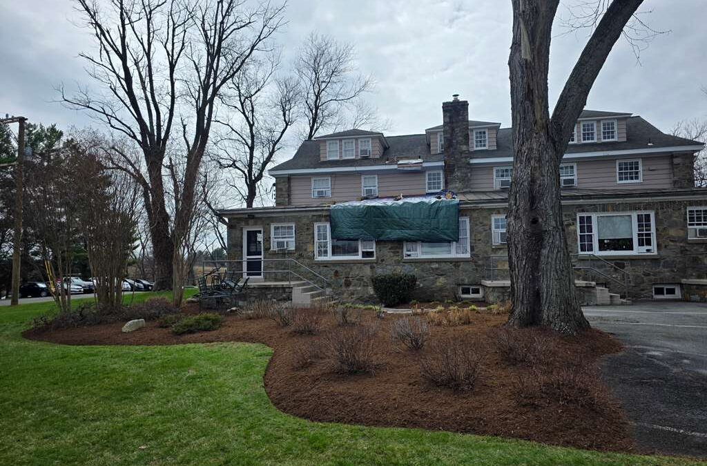 Ultimate Guide to Mulching Services: Types, Benefits and Application Tips