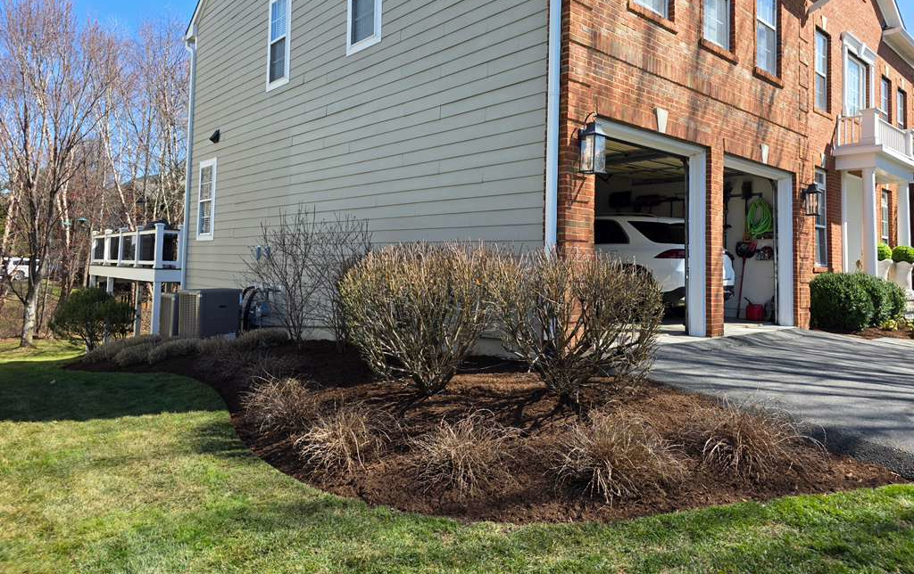 mulch