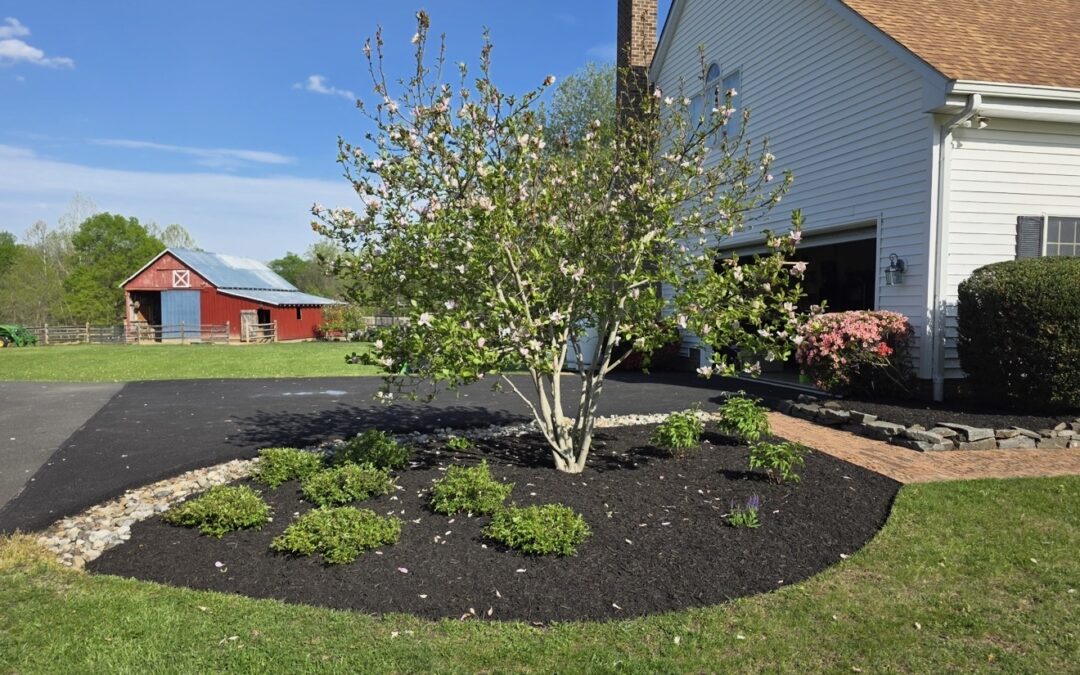 Expert and Affordable Planting Services Virginia: Transform Your Yard