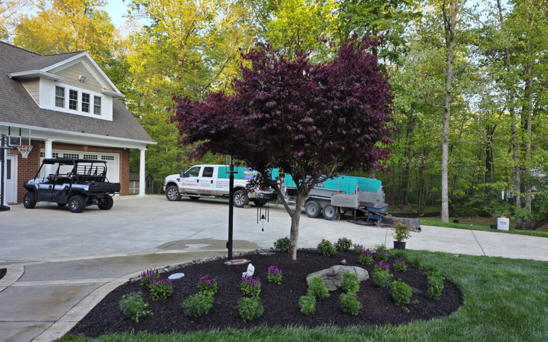Commercial Planting in Virginia: Balancing Style and Functionality