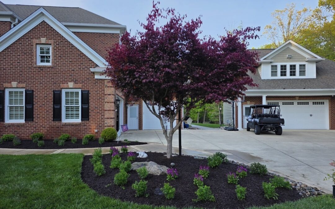 5 Creative Ways to Incorporate Trees and Shrubs into Your Landscaping